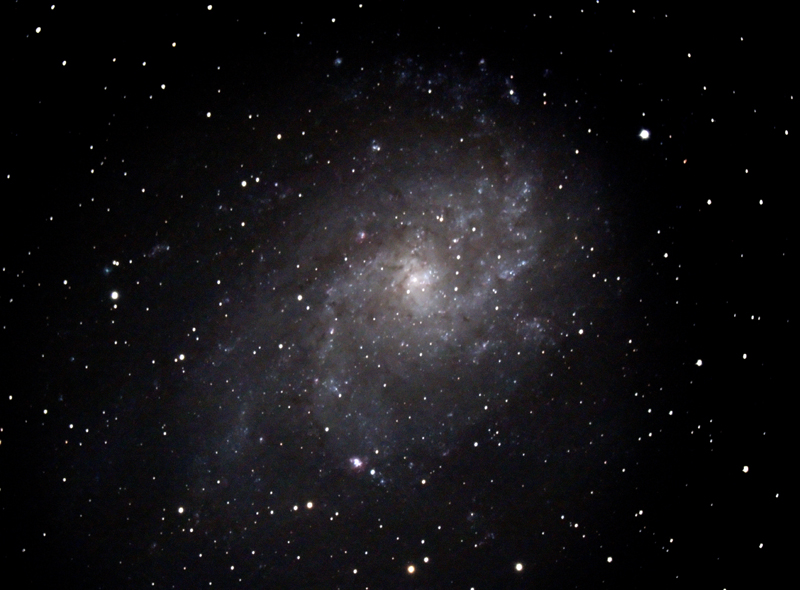 M33