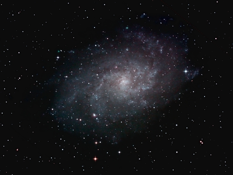 M33