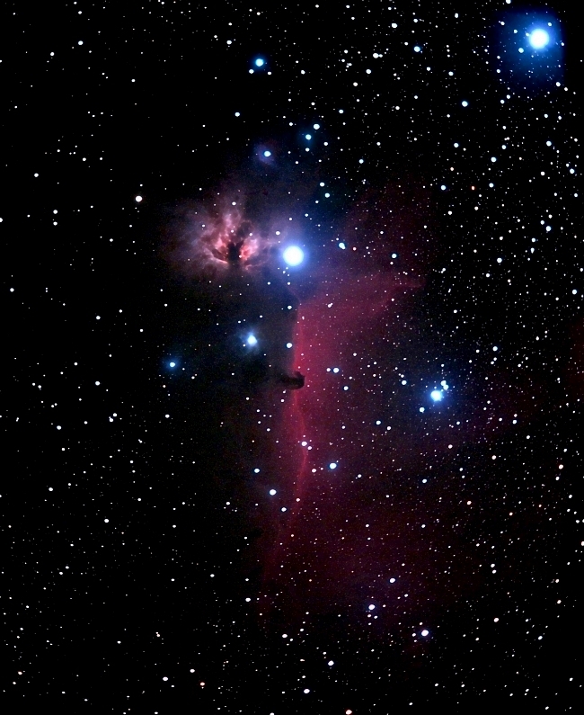 IC434 Horse Head neb