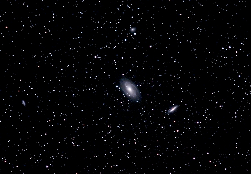 M81 widefield