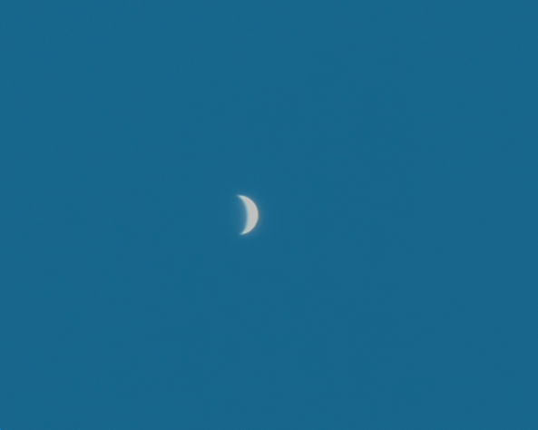 Daytime shot of Venus